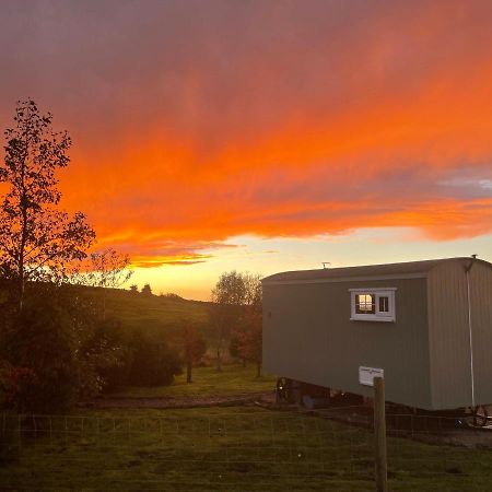 The Buteland Stop Rosie Off Grid Shepherds Hut Bellingham Zewnętrze zdjęcie