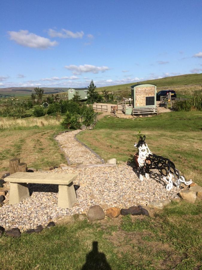 The Buteland Stop Rosie Off Grid Shepherds Hut Bellingham Zewnętrze zdjęcie