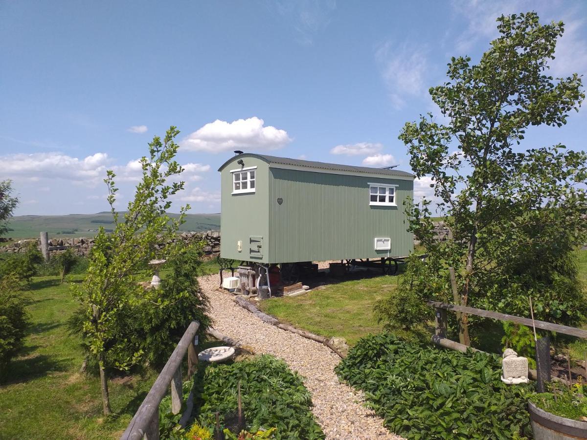 The Buteland Stop Rosie Off Grid Shepherds Hut Bellingham Zewnętrze zdjęcie
