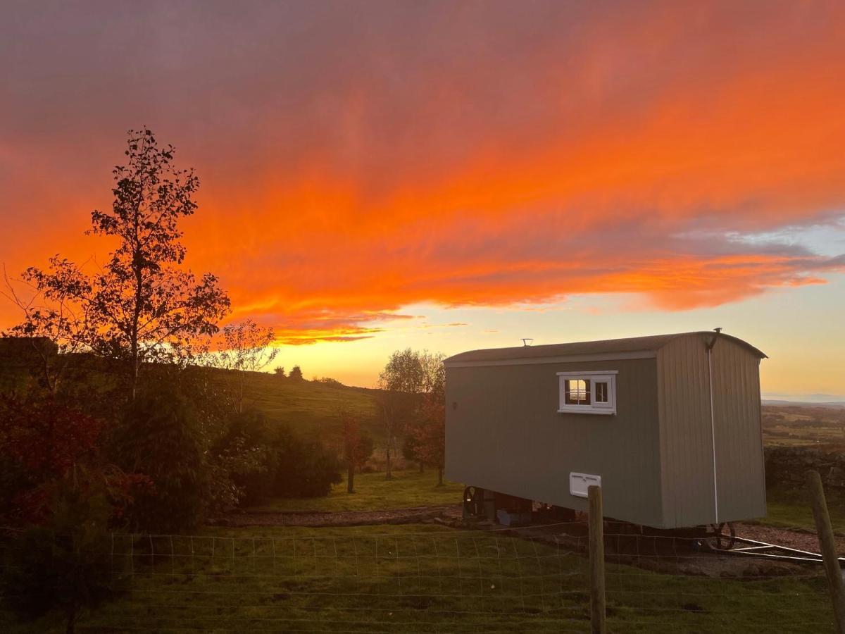 The Buteland Stop Rosie Off Grid Shepherds Hut Bellingham Zewnętrze zdjęcie