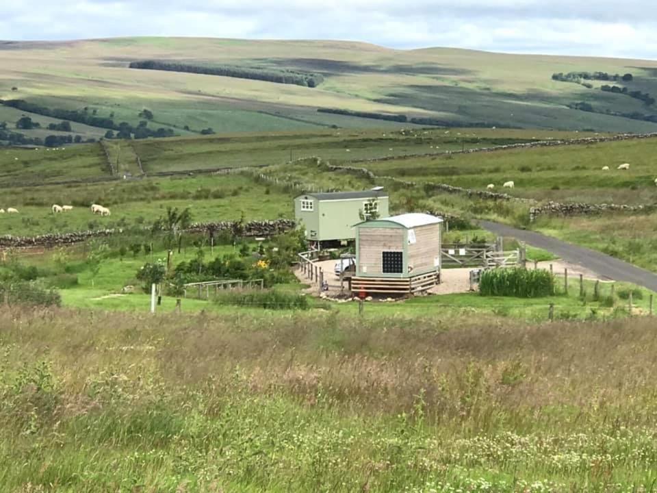 The Buteland Stop Rosie Off Grid Shepherds Hut Bellingham Zewnętrze zdjęcie