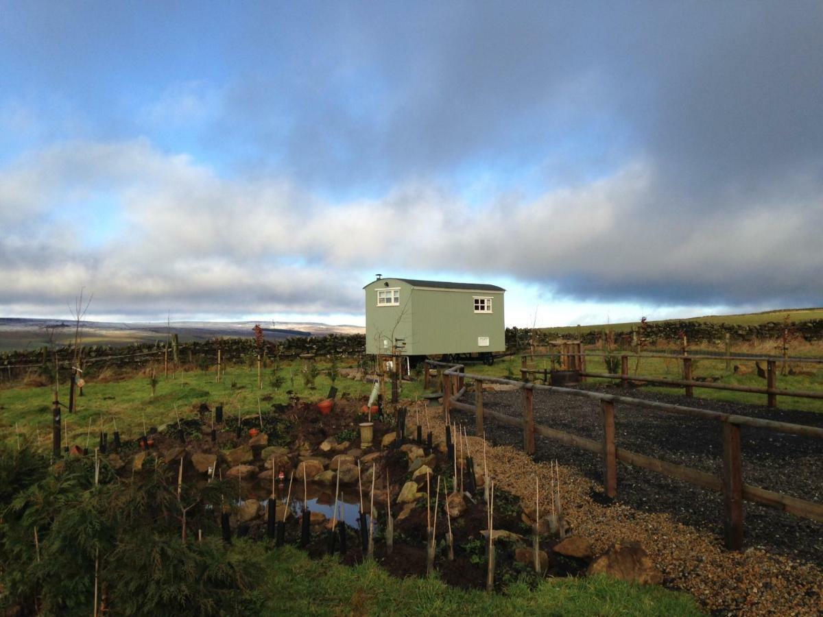 The Buteland Stop Rosie Off Grid Shepherds Hut Bellingham Zewnętrze zdjęcie