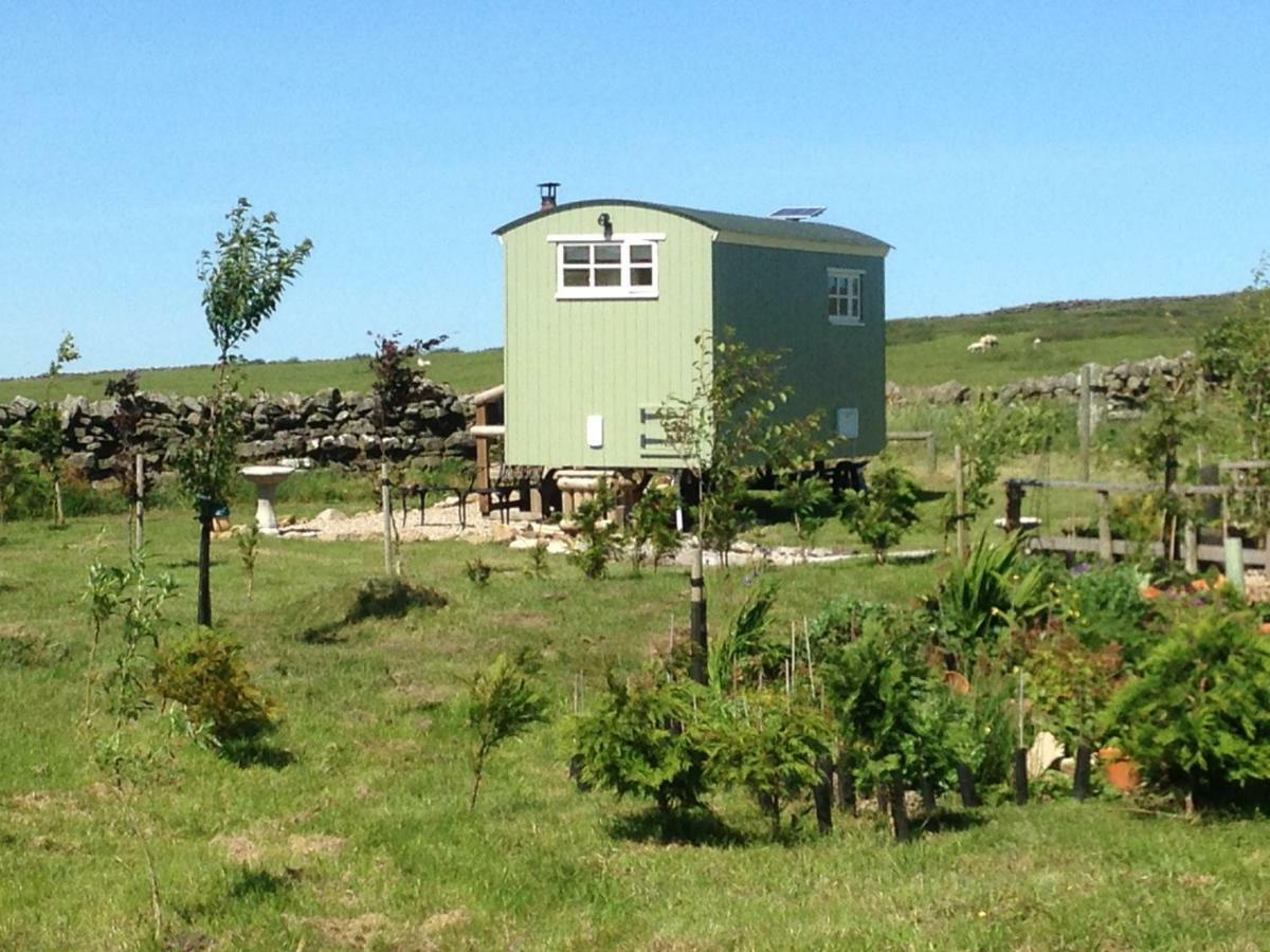 The Buteland Stop Rosie Off Grid Shepherds Hut Bellingham Zewnętrze zdjęcie