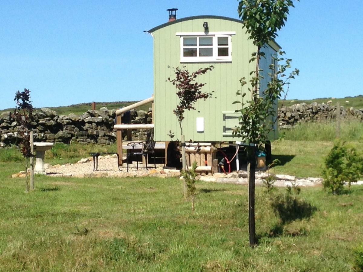 The Buteland Stop Rosie Off Grid Shepherds Hut Bellingham Zewnętrze zdjęcie
